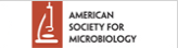 american society for microbiology