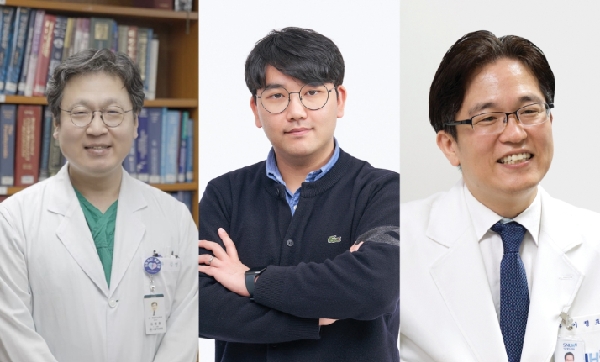 오존, 장기이식 환자 예후에 직접적인 영향···국내 연구팀 세계 최초 규명 대표이미지