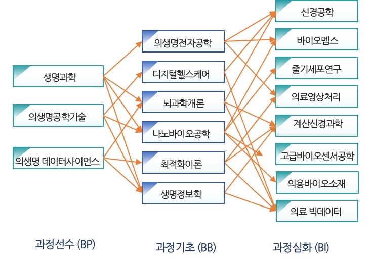 교과과정