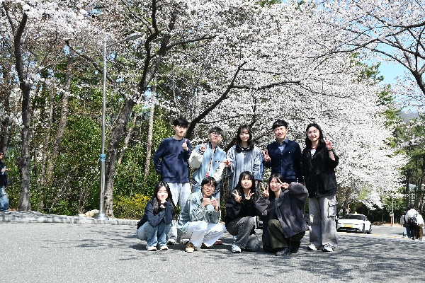 2025년 벚꽃 구경 main image