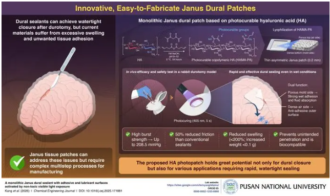 [언론보도] 양승윤 교수 연구팀 연구성과 국내·외 보도 대표이미지