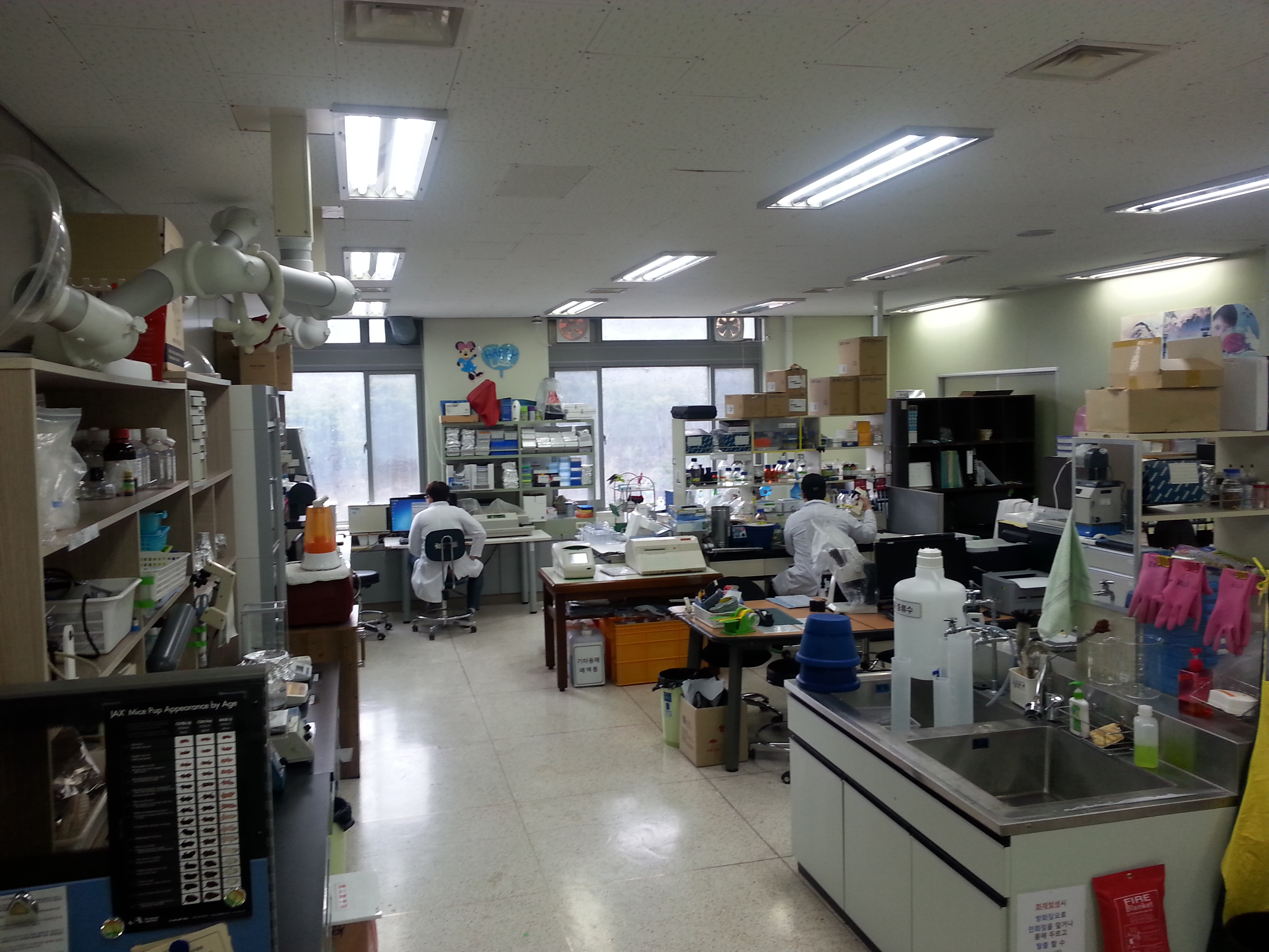 분자생물연구실 (Molecular Biology Lab)  사진