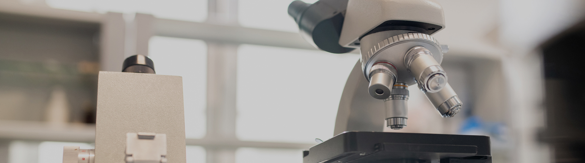 메인비주얼 이미지