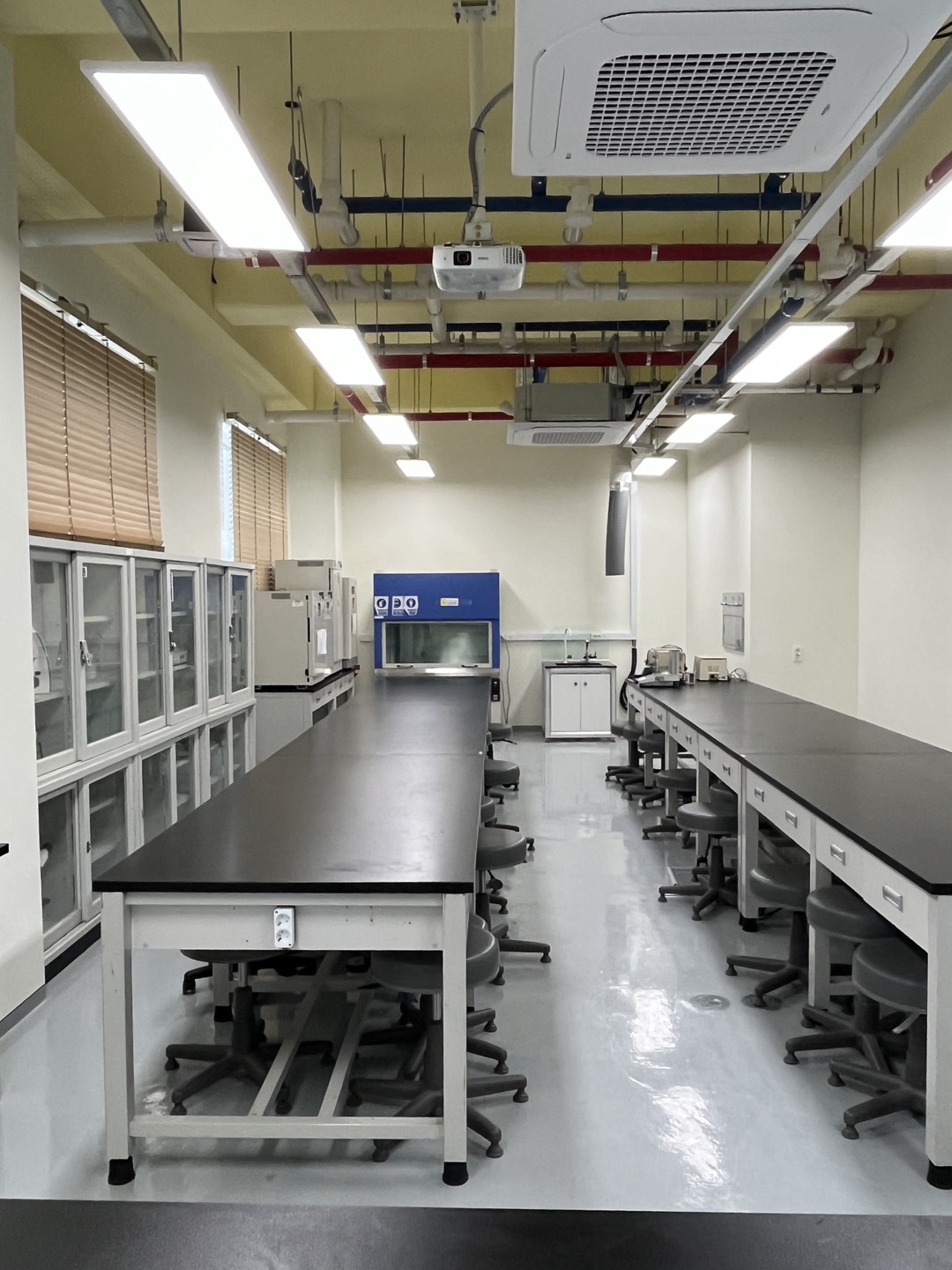 미생물학실험실IV