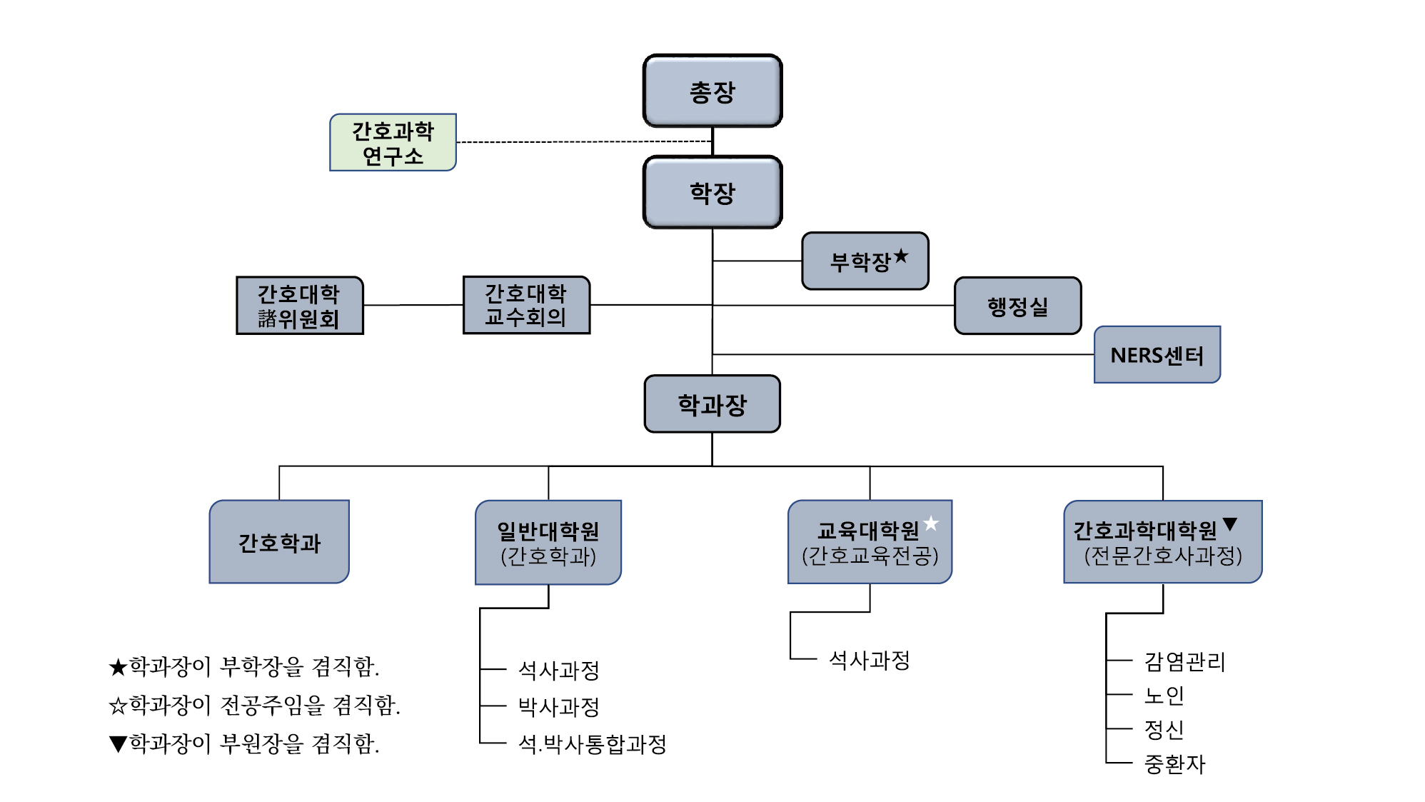 간호대학 조직도