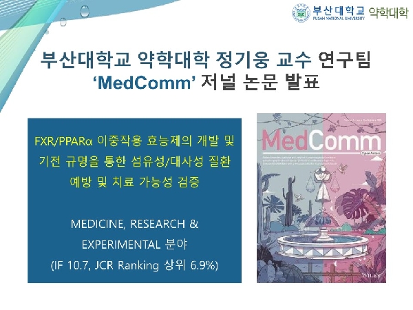 [연구성과] 약학과 정기웅 교수 연구팀  ‘MedComm’ 저널 논문 발표 대표이미지
