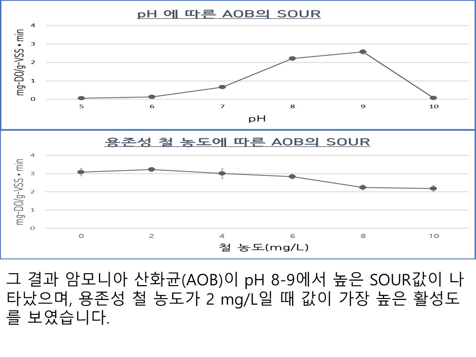 이산화탄소