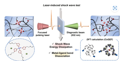 [언론스크랩/부산일보] 부산대.KIST, 금속-리간드 결합기반 충격파 대응 고분자 원리 규명 대표이미지