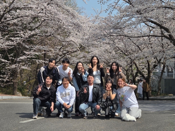 2025년 벚꽃구경 대표이미지