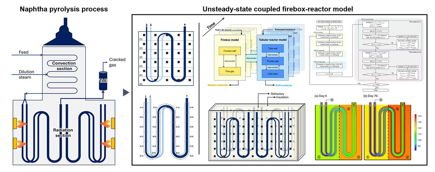 Unsteady-state modeling of a naphtha pyrolysis furnace considering coke formation and carbon emissions