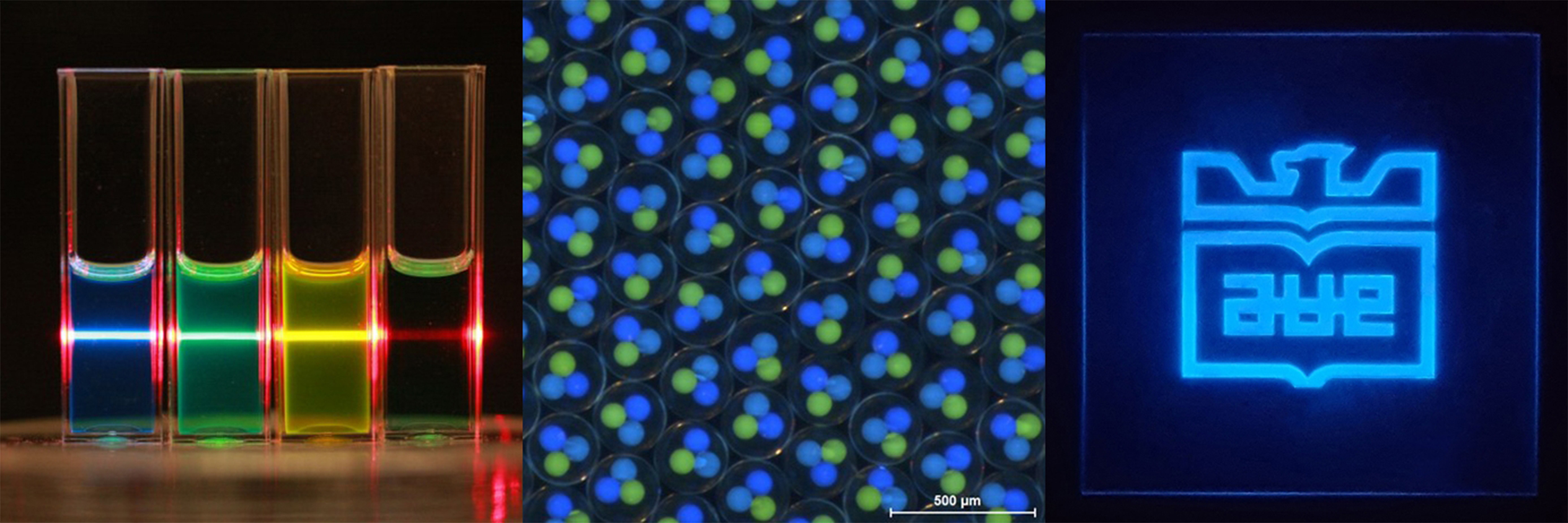 비쥬얼 이미지1